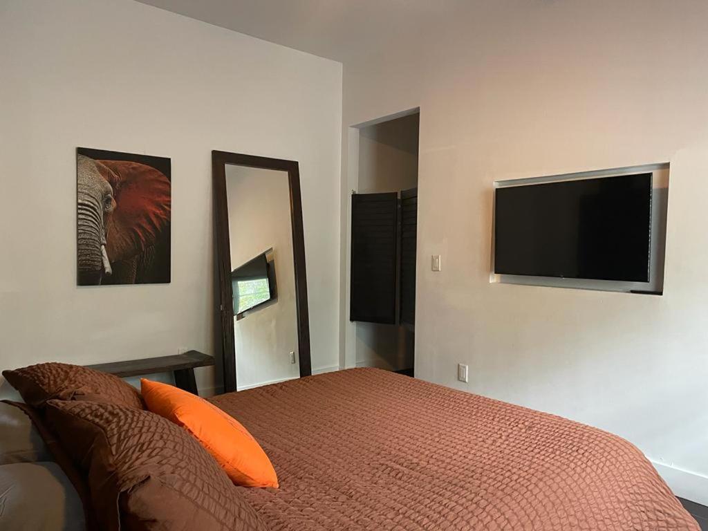 Apartment Vive Zen Queen Miami